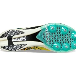 Saucony Uomo Endorphin Cheetah|Uomo Gara